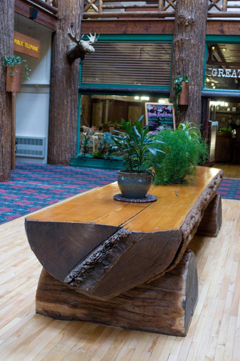 Public Area 2, Glacier Park Lodge, Glacier