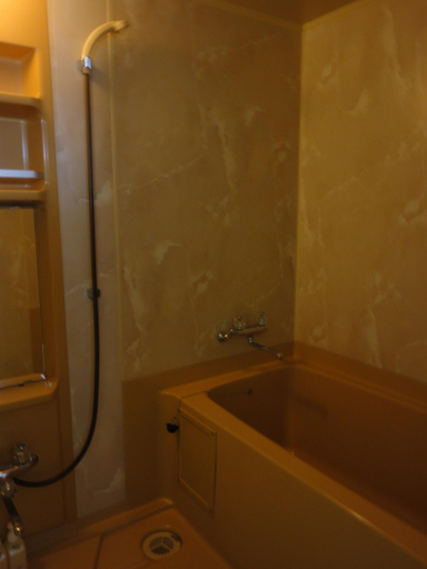 Bathroom 5, 聚景荘(じゅけいそう), Hatsukaichi