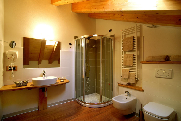 Bathroom 5, Hotel Boton D'Or & Wellness, Aosta