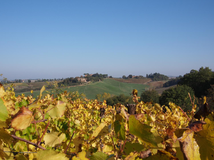 Others 2, Agriturismo Poggiarellino - Montalcino, Siena