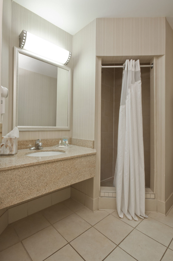 Others 5, Wyndham Flint MI/Grand Blanc/Bishop Airport/Conference Ct, Genesee