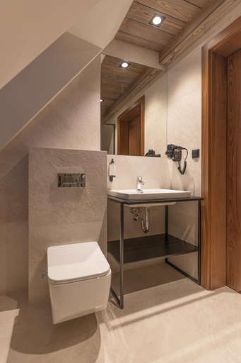 Bathroom, Willa Litworowy Staw, Tatra