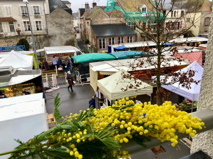 Others 2, La maison Virginie appartements de 1 a 5 pers cosy hyper centre, cour, parking, linge, fibre, proxim, Loiret