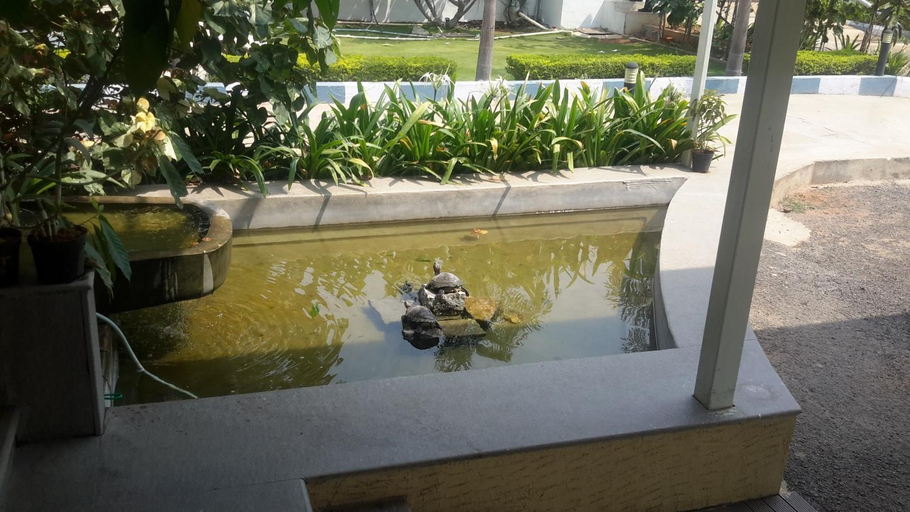 Sport & Beauty 2, Mrugavani Resort & Spa, Ranga Reddy