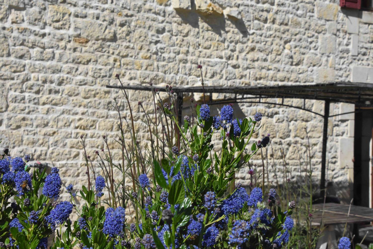 Le Moulin de Charzay, eco-gite familial en Deux-Sevres, Nouvelle Aquitaine, Deux-Sèvres