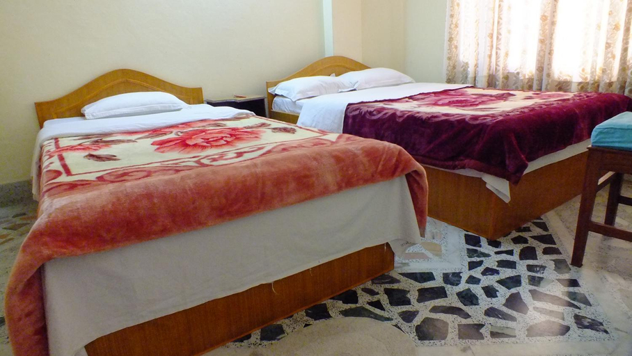 Bedroom 2, Hotel Dolphin, Bagmati