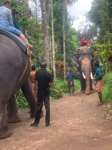 Others 3, Mountain View Homestay, Theni