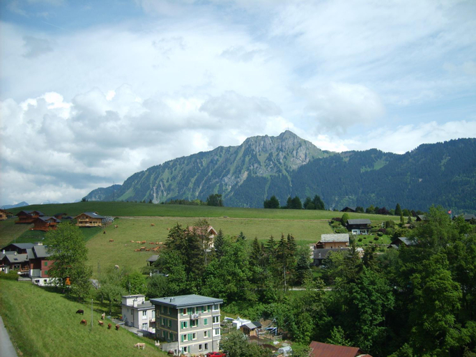 View