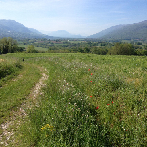 Others 4, Le Fayard, Haute-Savoie