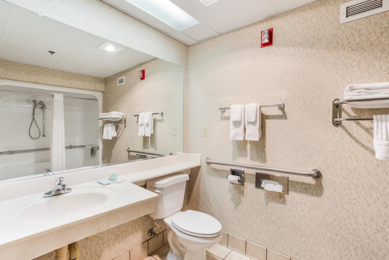 Bathroom, Quality Inn & Suites, Wise