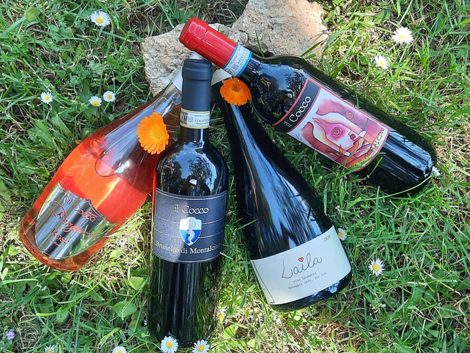 Food & Drinks 4, Agriturismo Il Cocco, Siena