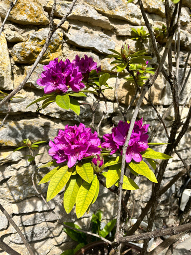 Others 5, Le Mas De Retheuil, Aisne