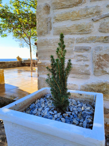 Exterior view 2, Vila Apostolis, Crete