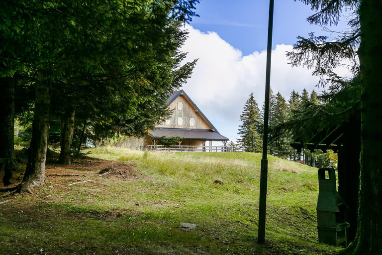 Others 3, Chalet Liza & Rozi, Slovenska Bistrica
