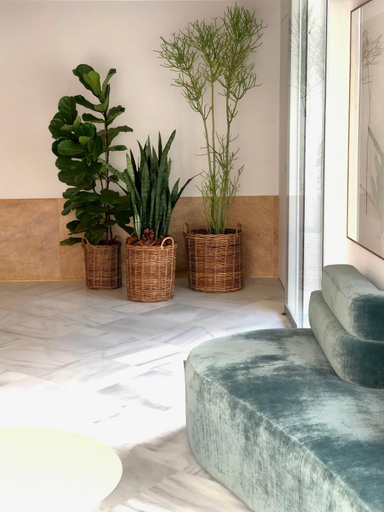 Public Area 5, Hotel Tayko Sevilla, Sevilla