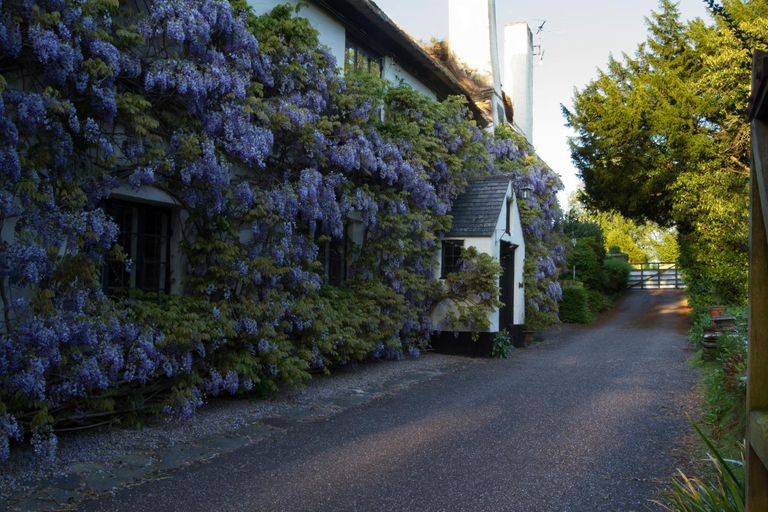 Public Area 4, Duddings Country Cottages, Somerset