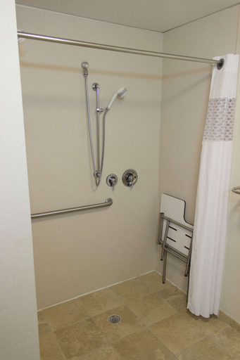 Bathroom 4, Hampton Inn & Suites Davenport, Scott