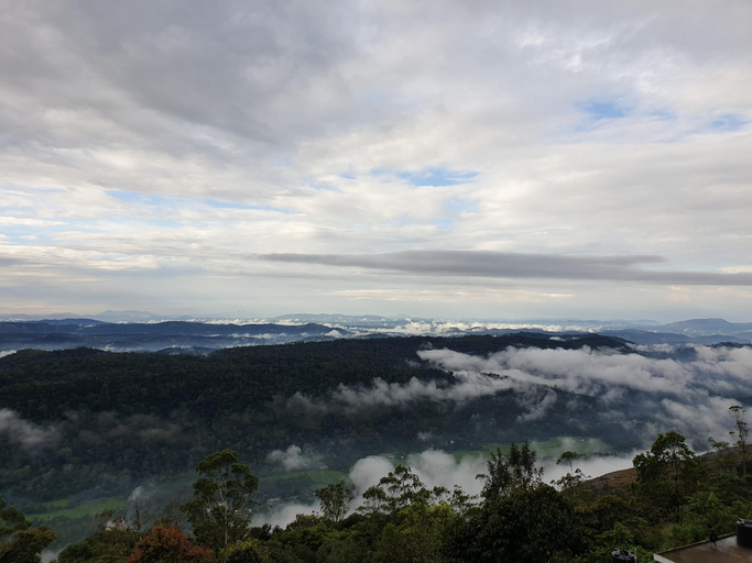 Others 5, Seekend Holidays Munnar, Idukki