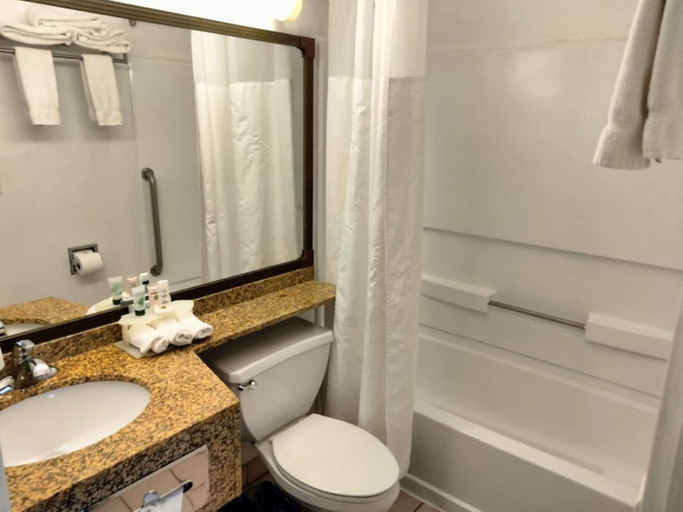Bathroom 4, Wingate by Wyndham Eagle Vail Valley, Eagle