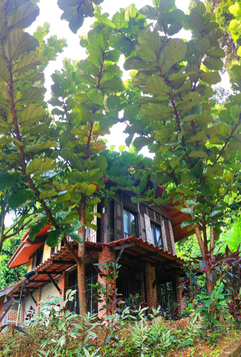 Exterior 4