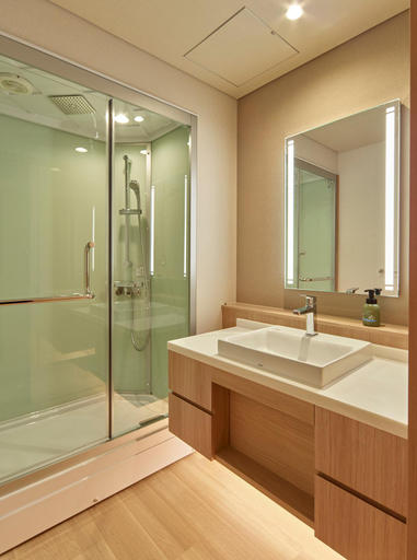 Bathroom 5, Saito Hotel, Ueda