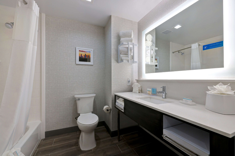 Bathroom 4, Hampton Inn & Suites Houston East Beltway 8, Houston