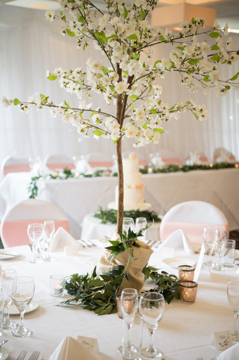 Food & Drinks 5, Lakeside Park Hotel & Spa Ryde, Isle of Wight