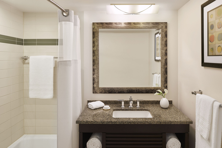 Bathroom 5, The Coral at Atlantis