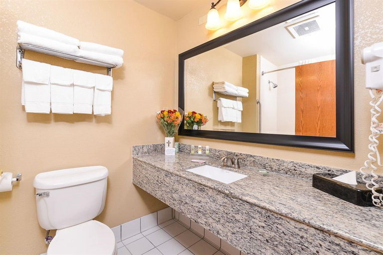 Bathroom 4, Country Inn & Suites by Radisson, Billings, MT, Yellowstone