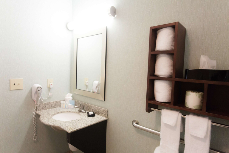 Bathroom 3, Hampton Inn & Suites Middlebury, Elkhart