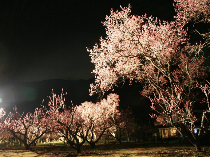 Others 5, Hotel Uzuraya, Chikuma