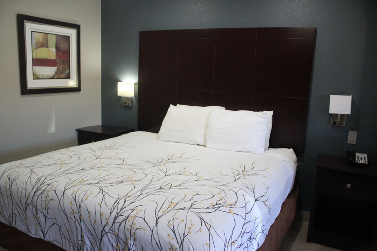 Bedroom 4, Cotulla Executive Inn, La Salle