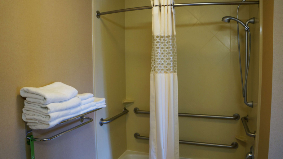 Bathroom 4, Hampton Inn & Suites Kingman, Mohave