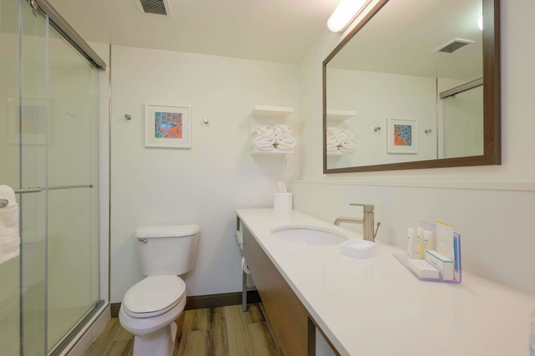 Bathroom 4, Hampton Inn Edenton, Chowan