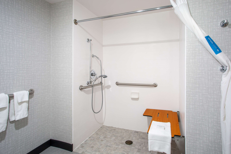 Bathroom 4, Hampton Inn Elkins, Randolph