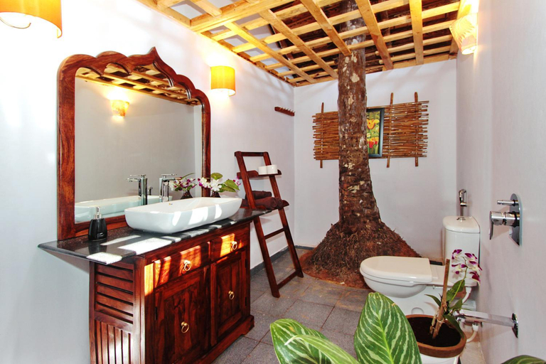 Shower, Cinnamon, South Goa