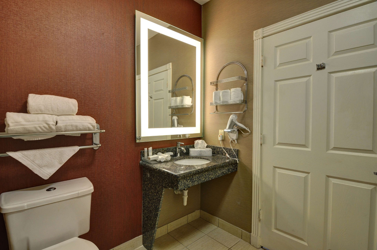 Bathroom 4, Homewood Suites by Hilton Longview, Gregg