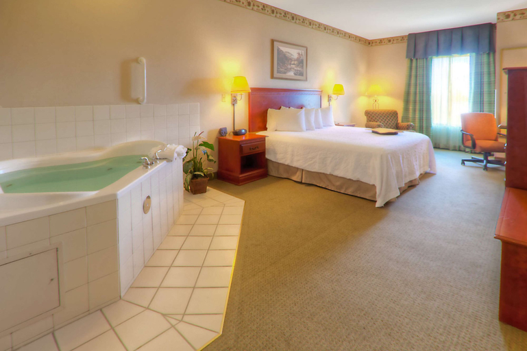 Bedroom 3, Hampton Inn Great Falls, Cascade