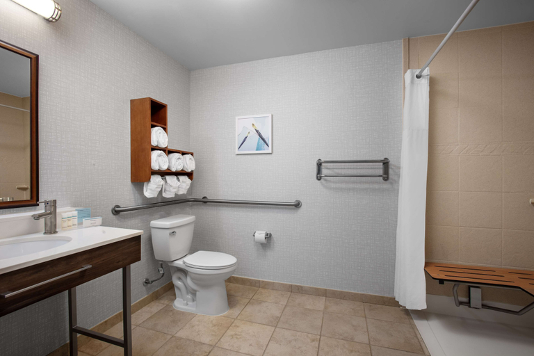 Bathroom 4, Hampton Inn & Suites Homestead Miami South, Miami-Dade