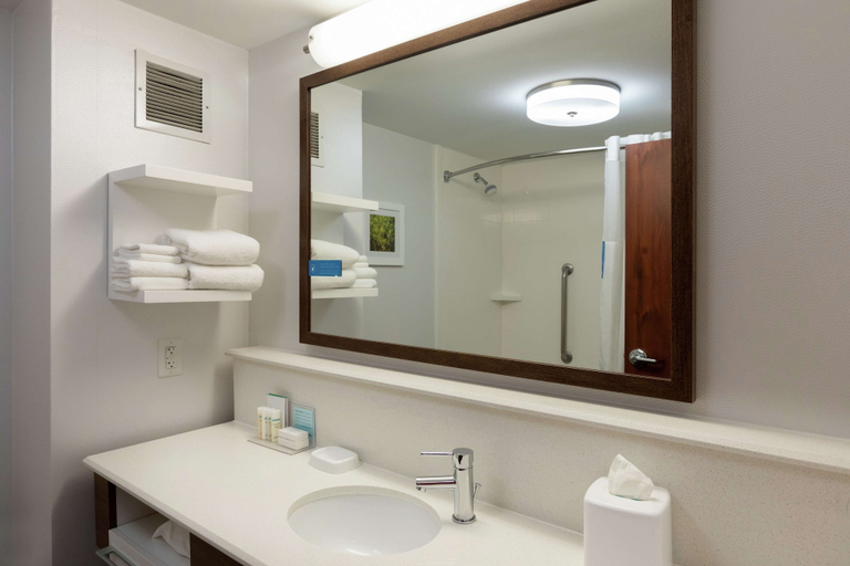 Bathroom 4, Hampton Inn Houston/Humble-Airport Area, TX, Houston