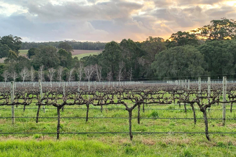 Others 2, Ruse Estate Retreat Margaret River, Augusta-Margaret River