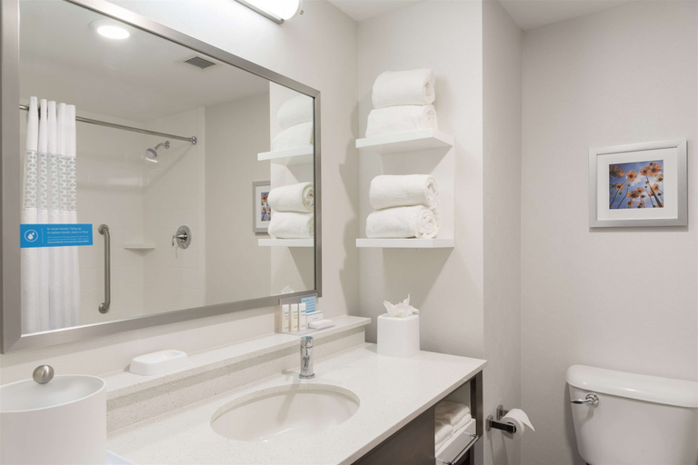 Bathroom 4, Hampton Inn Westfield, Hamilton