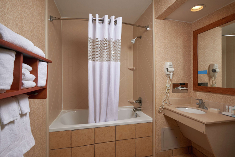 Bathroom 4, Hampton Inn Franklin, Simpson