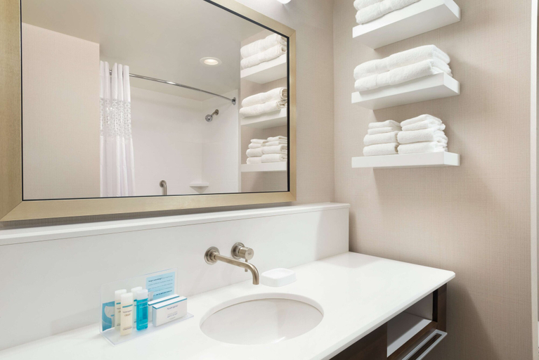Bathroom 5, Hampton Inn Elko, Elko