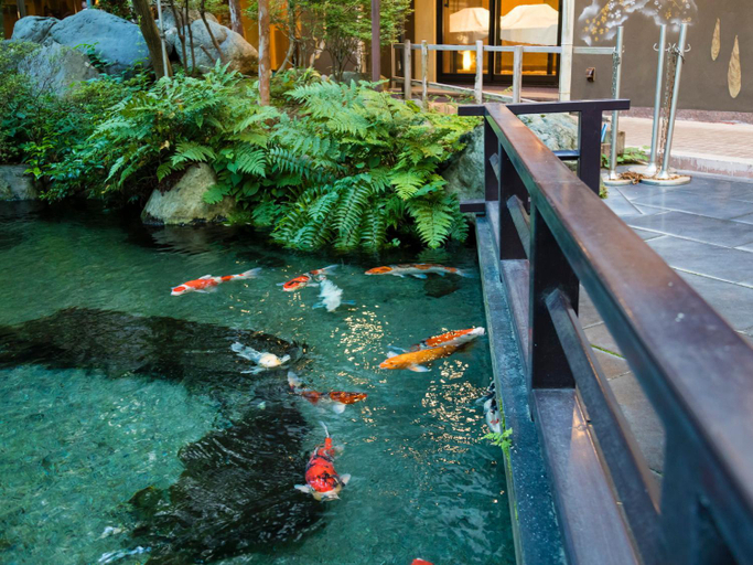 Sport & Beauty 2, HOTEL KOHAKUEN, Fuefuki