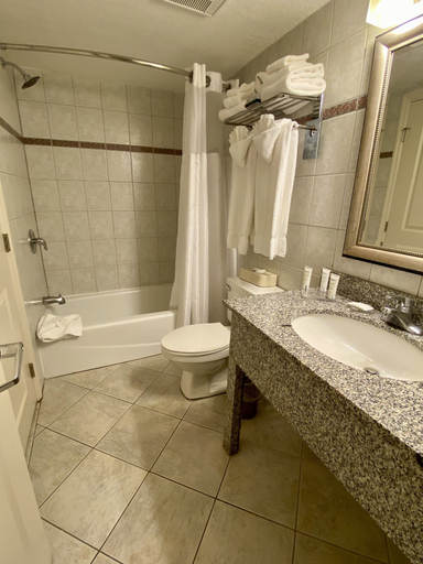 Bathroom 4, Radisson Suite Hotel Oceanfront, Brevard