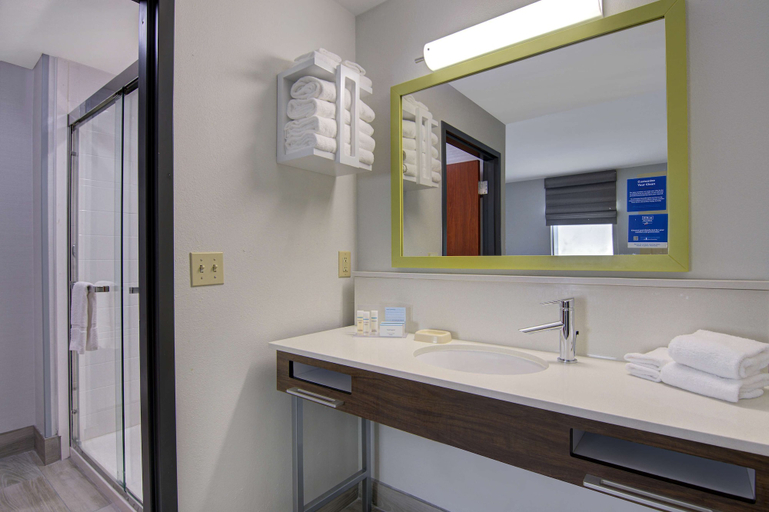 Bathroom 5, Hampton Inn Fayetteville, Washington