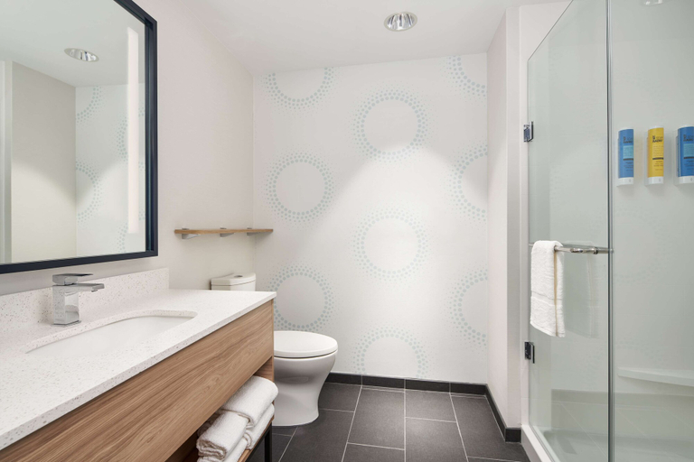 Bathroom 4, Tru By Hilton Ft. Lauderdale Airport, Broward
