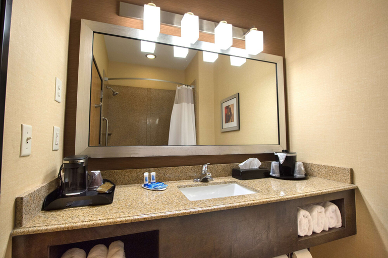 Bathroom 4, Hampton Inn Gainesville, Hall