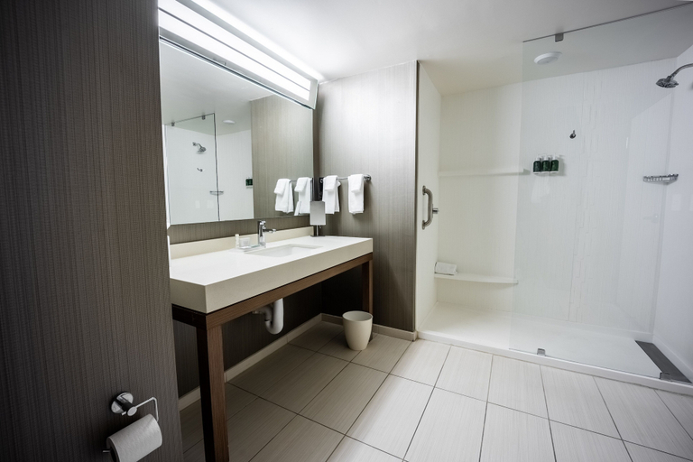 Bathroom 4, Courtyard by Marriott Rome, Floyd